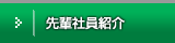 先輩社員紹介
